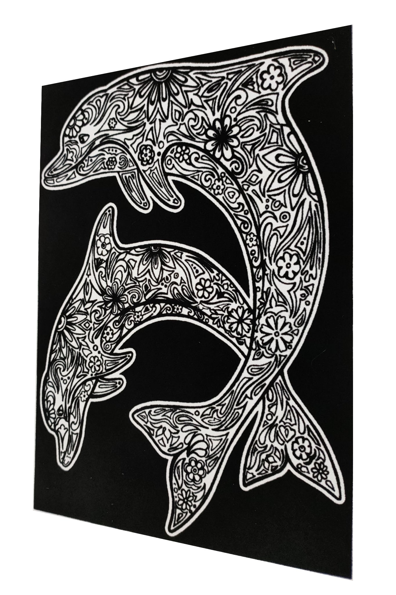 Tataruga Samtbild, Karton, 21 × 29,7 cm, Schwarz