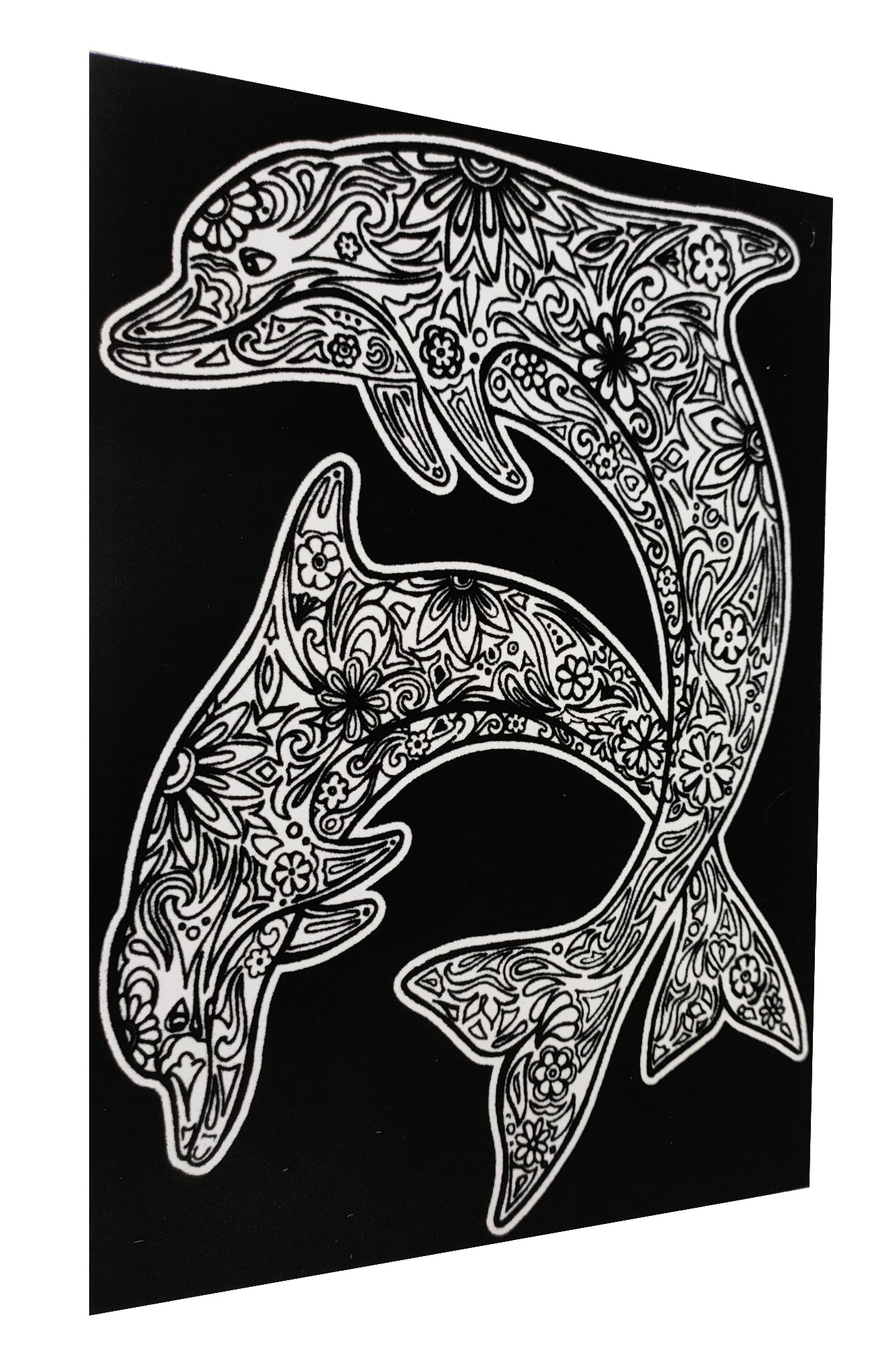 Tataruga Samtbild Malkarton, Karton, 21 × 29,7 cm, schwarz