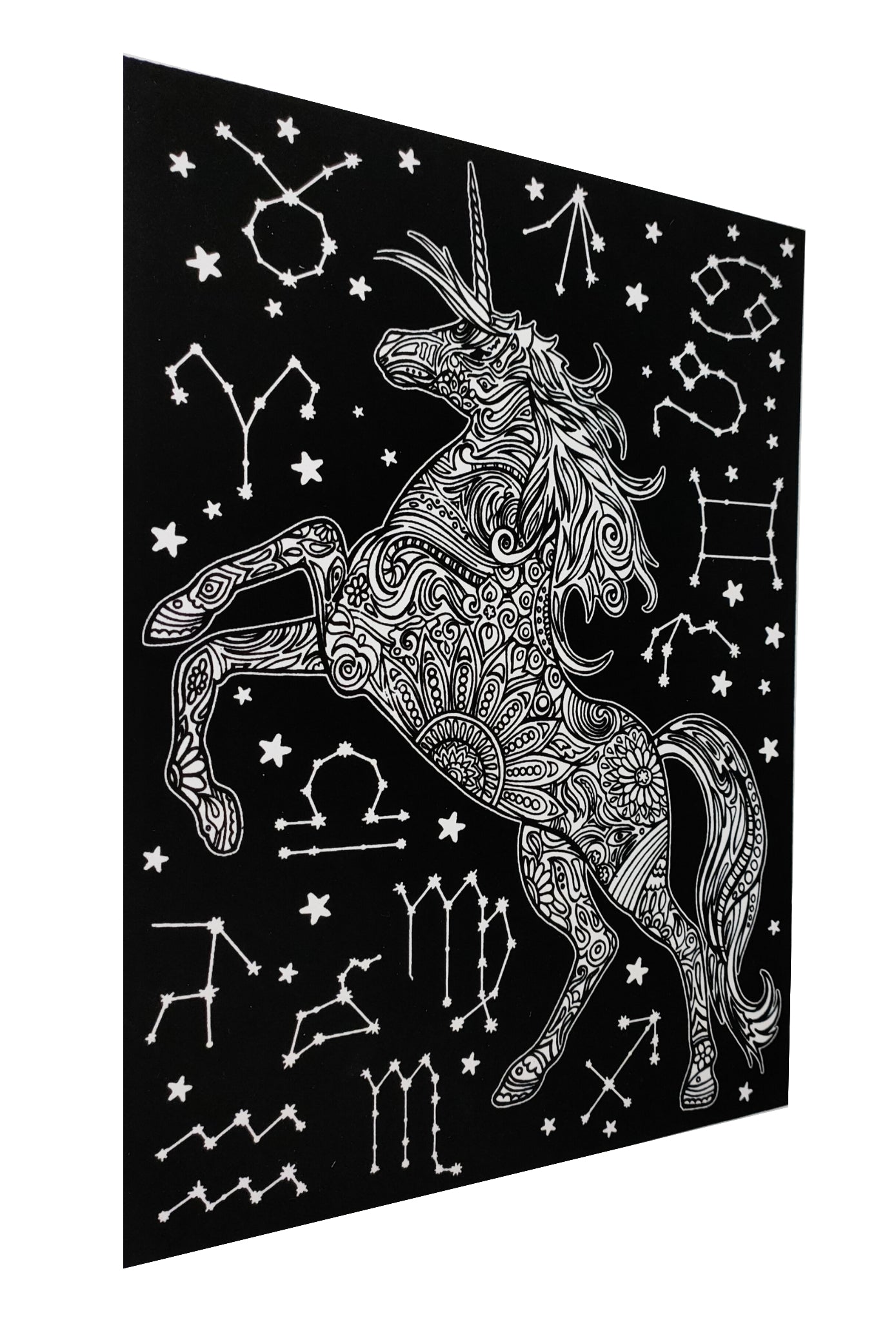 Tataruga Samtbild Malkarton, Karton, 21 × 29,7 cm, Schwarz