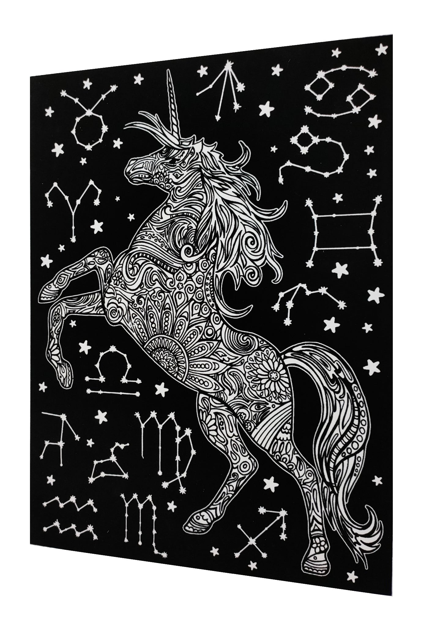 Tataruga Samtbild Malkarton, Karton, 21 × 29,7 cm, Schwarz