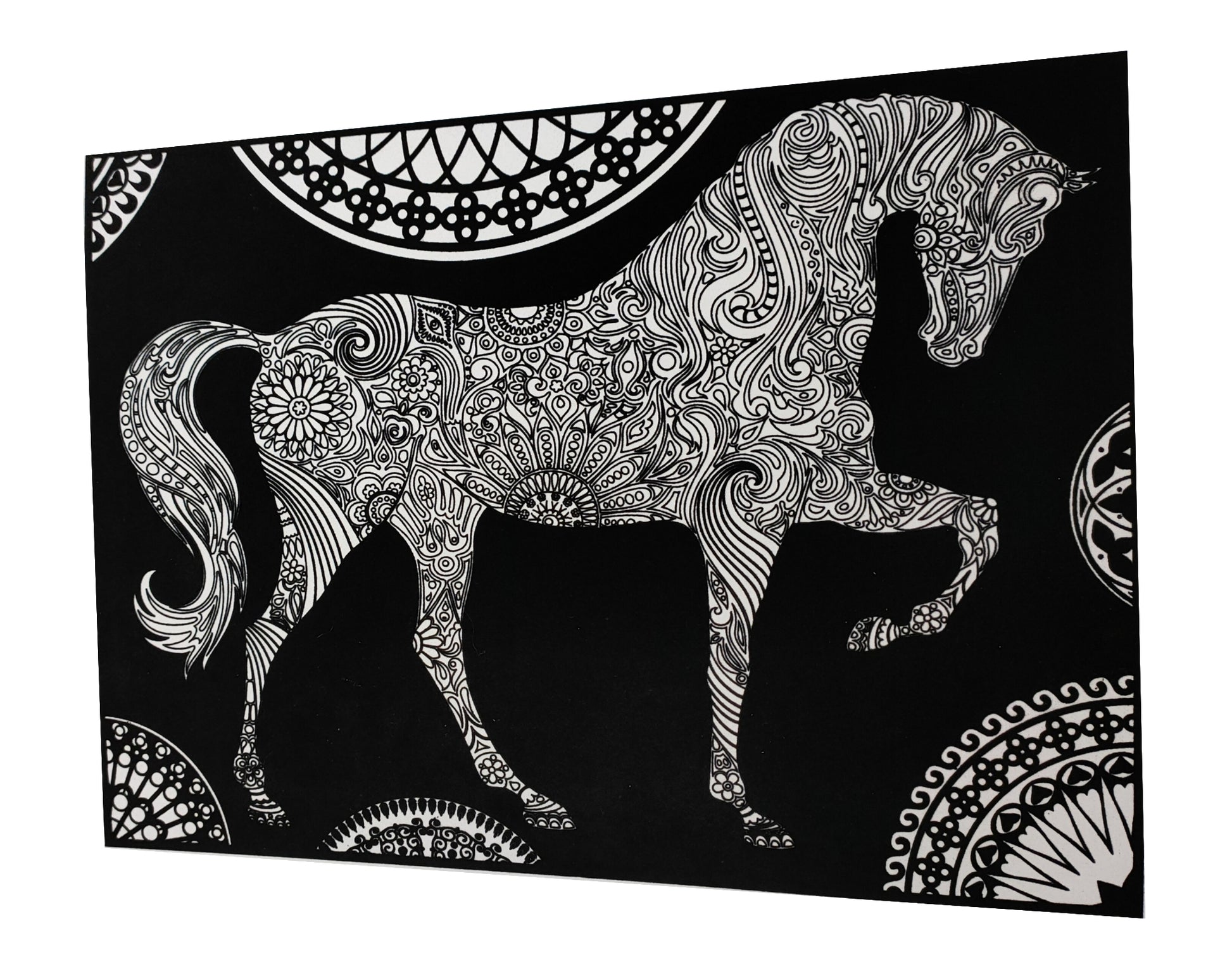 Tataruga Samtbild Malkarton, Karton, 29,7 × 21 cm, Schwarz