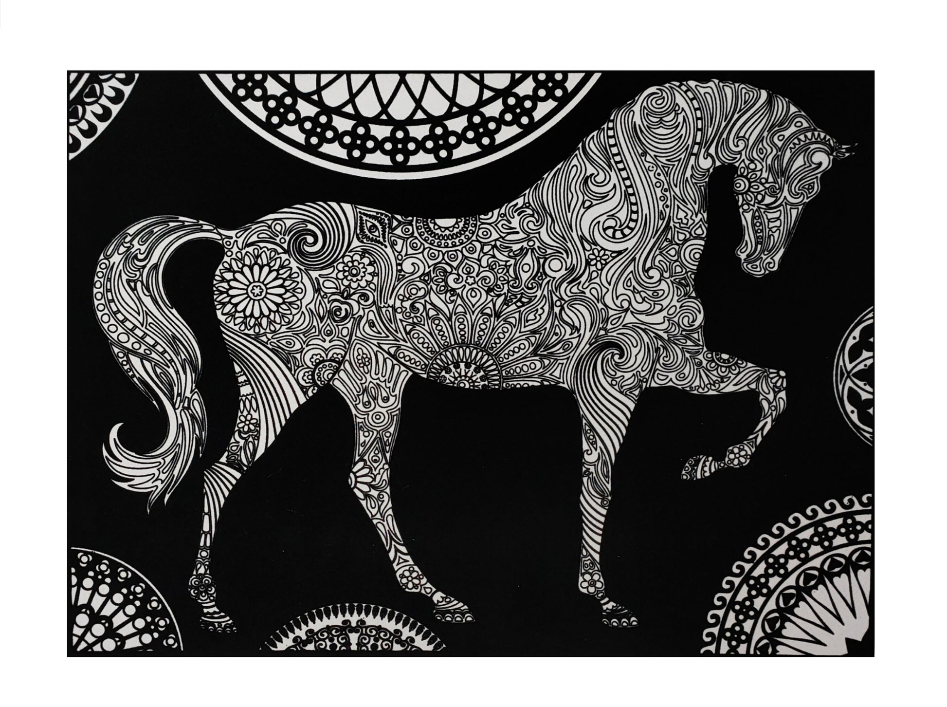 Tataruga Samtbild Malkarton, Karton, 29,7 × 21 cm, Schwarz