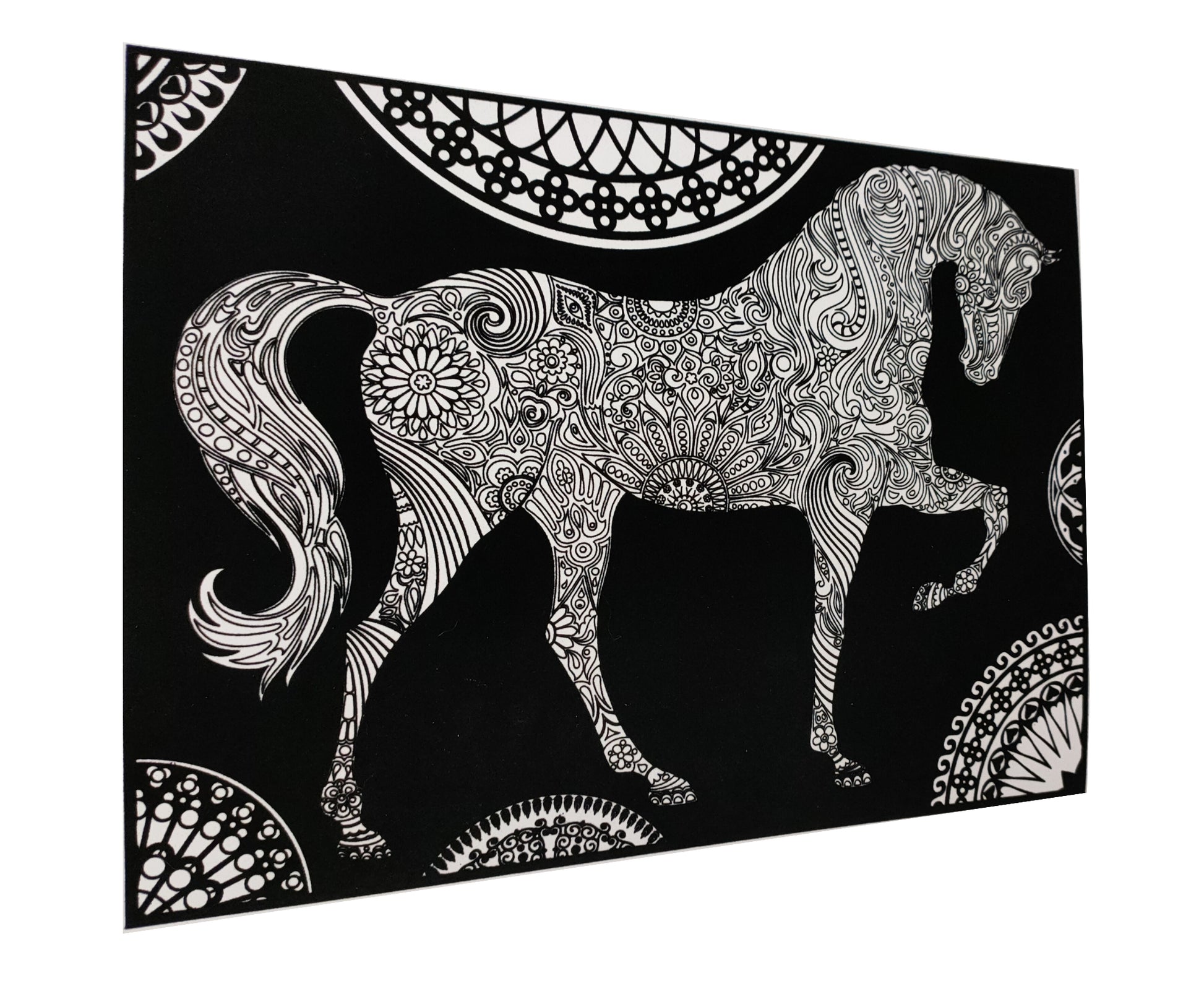 Tataruga Samtbild Malkarton, Karton, 29,7 × 21 cm, Schwarz