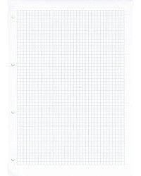 Ingold-biwa Ringbucheinlagen – A4 – kariert 5 mm, mit Rand – 4-Loch – 90 g/m² – 500 Blatt – FSC
