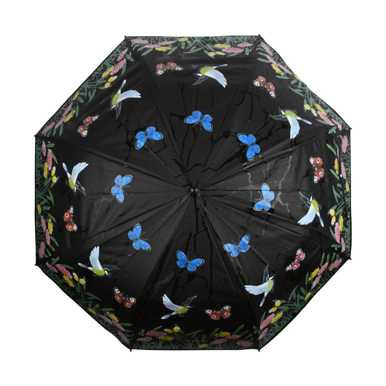 Esschert Design Stockschirm TP275 – Auf/Zu-Automatik, Ø 116,5 cm, L 91,2 cm – Schwarz Wiese