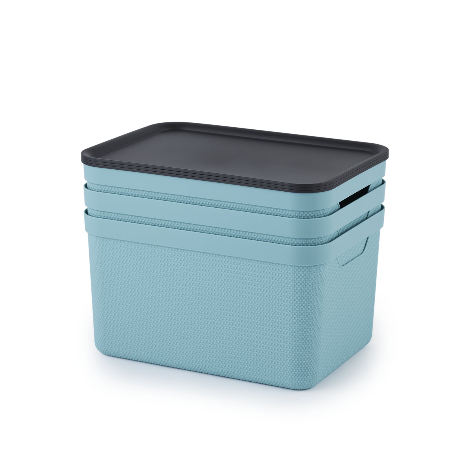 Rotho Jive Aufbewahrungsbox 16 l – für A4, mit Deckel, stapelbar, hellblau, Kunststoff, 3 Stück