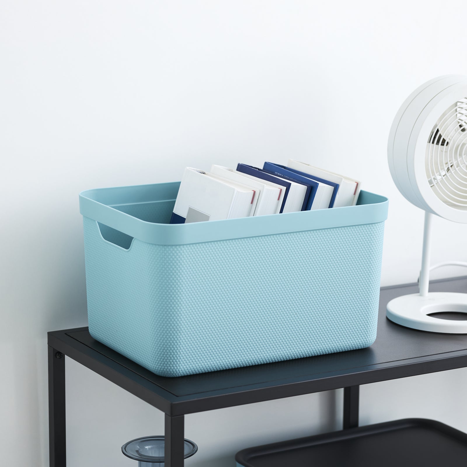 Rotho Jive Aufbewahrungsbox 16 l – für A4, mit Deckel, stapelbar, hellblau, Kunststoff, 3 Stück