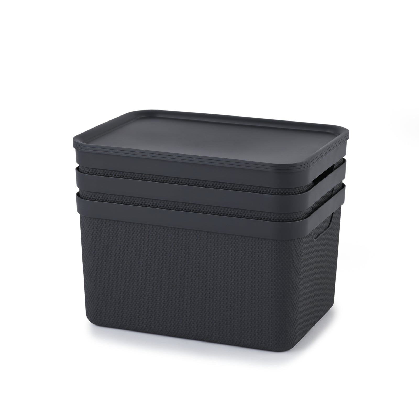 Rotho Aufbewahrungsbox 16 l (mit Deckel) – Recycling-Kunststoff – Grau – 260 × 200 × 359 mm