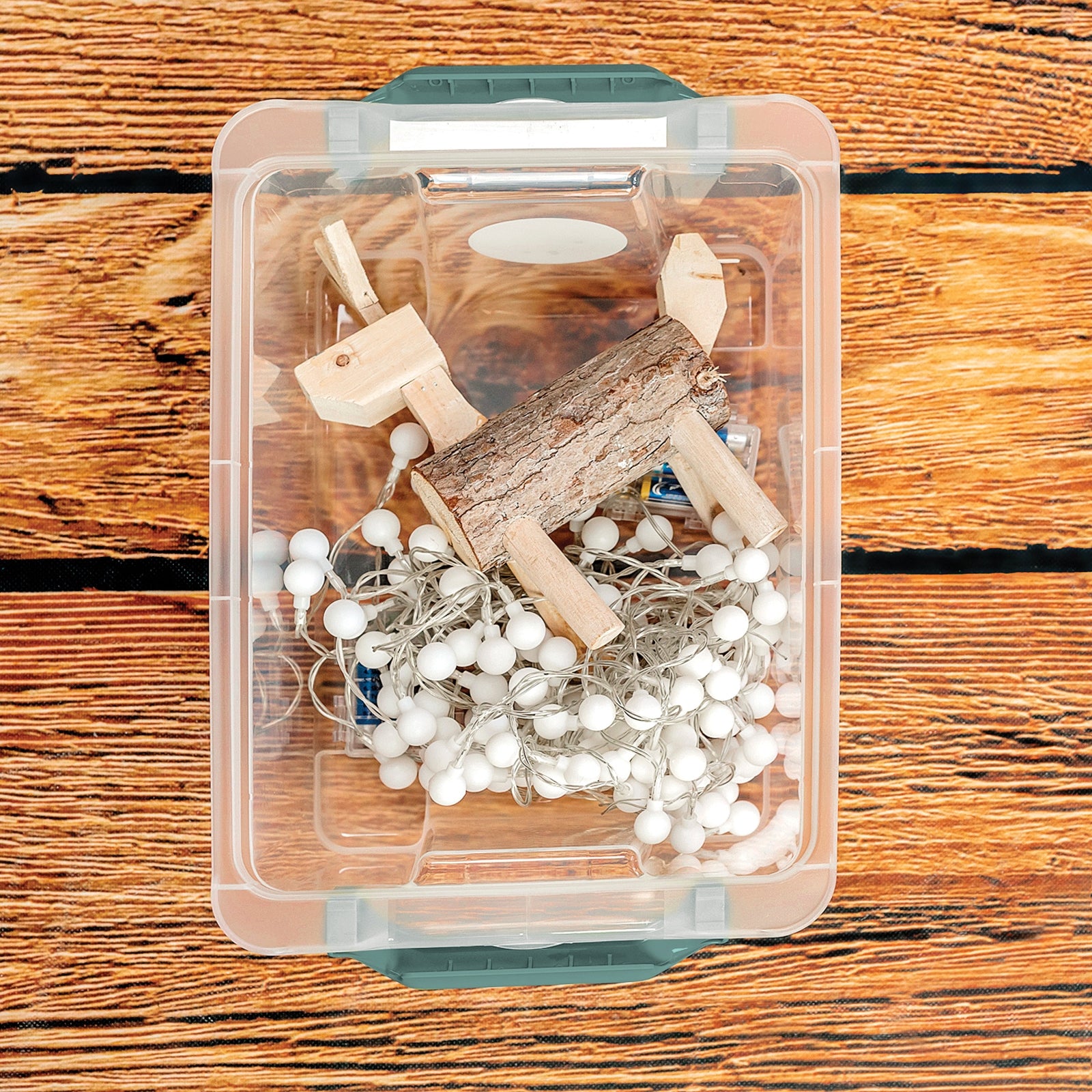 Rotho Aufbewahrungsbox Evo Safe – Kunststoff, transparent/grün, 39,3 × 16 × 28,3 cm