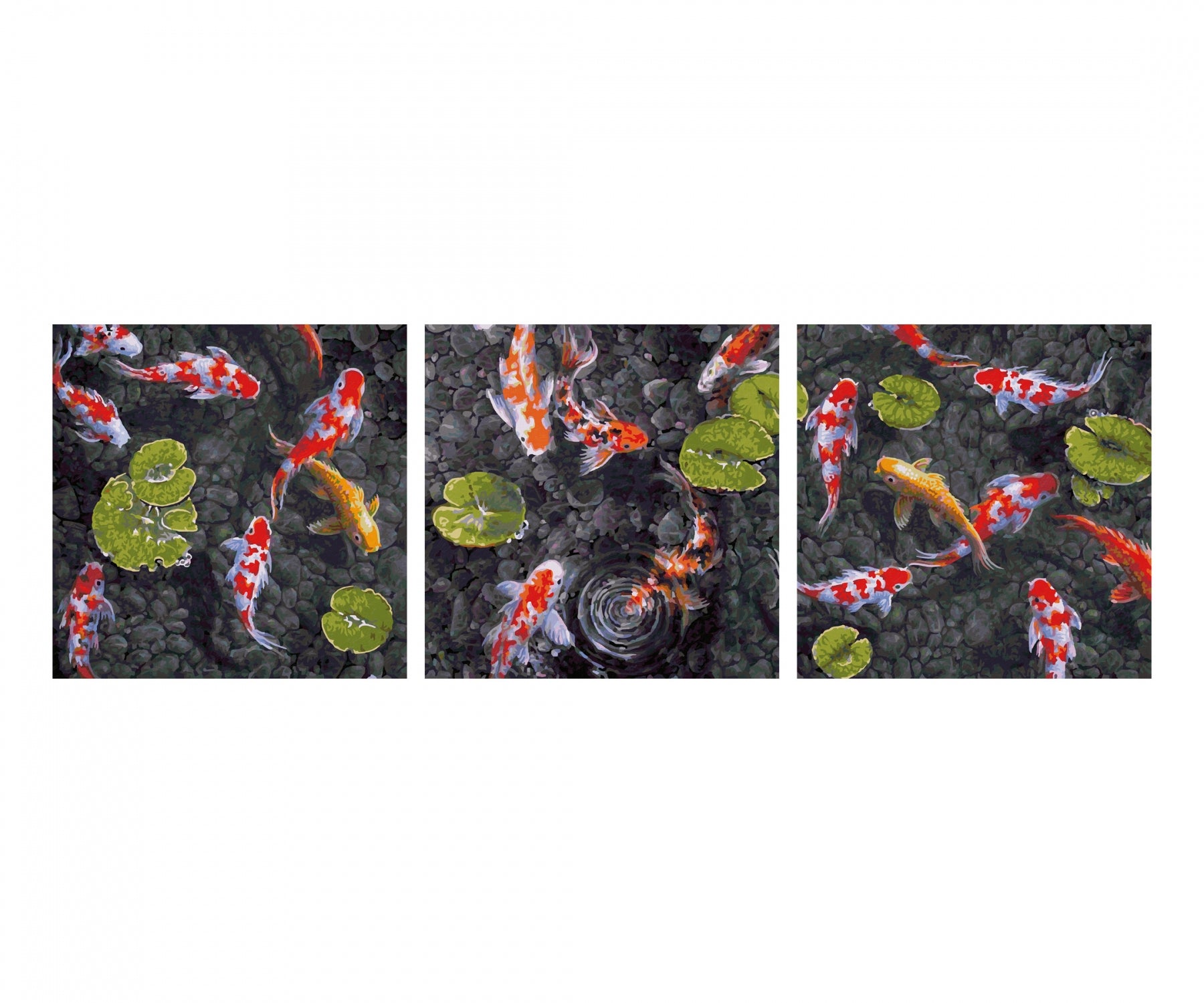 Schipper Malen-nach-Zahlen-Set – Koi Juwel im Fischteich – 3-teilig, je 40 × 40 cm – ab 14 Jahren