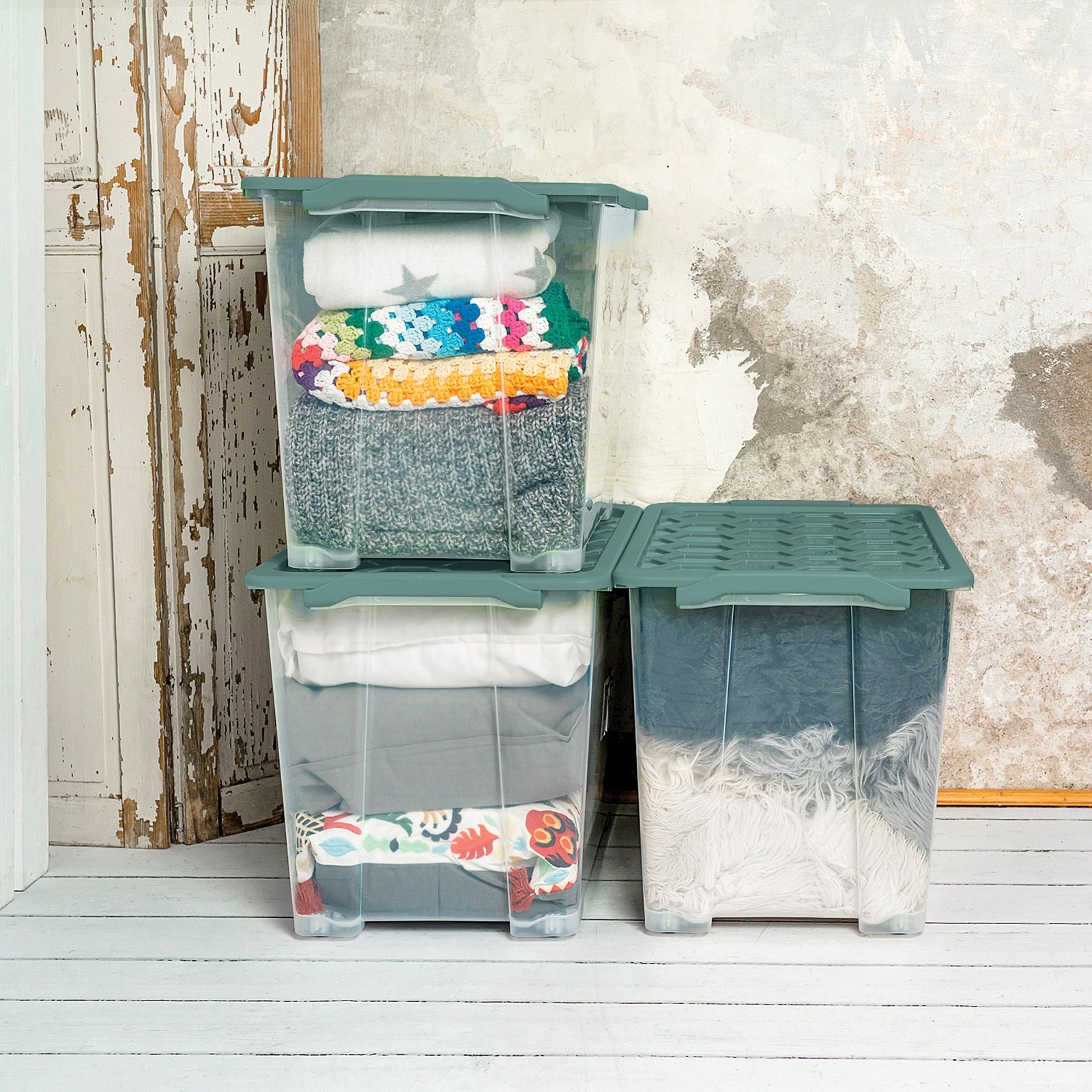Rotho Aufbewahrungsbox Evo Safe – Kunststoff, transparent/grün, 59 × 41,2 × 39,5 cm
