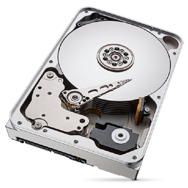 Seagate IronWolf Pro ST12000NT001 – 12 TB, 256 MB Cache