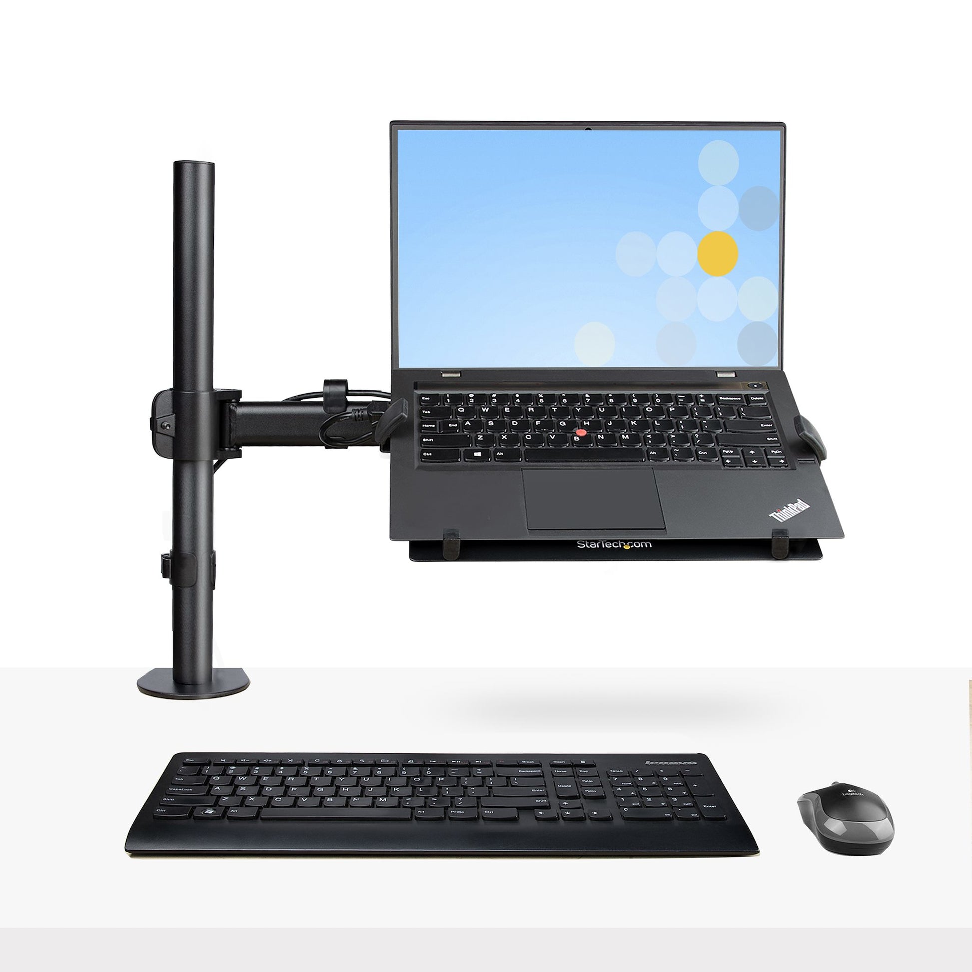 StarTech.com Monitorarm Tischhalterung – 13–34" – VESA 75×75/100×100 mm – bis 8 kg pro Monitor