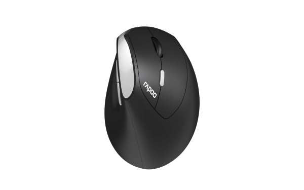Rapoo EV250 – Vertikale Maus – Kabellos (2,4 GHz), rechts, Schwarz/Silber