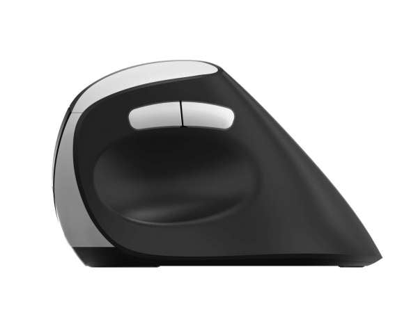 Rapoo EV250 – Vertikale Maus – Kabellos (2,4 GHz), rechts, Schwarz/Silber