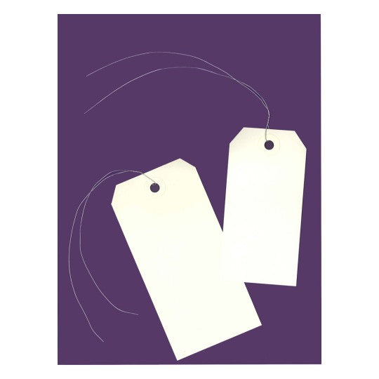 Avery Anhängeetiketten – 60 × 120 mm, Karton 160 g/m², cremefarben, mit Draht, 1000 Stk.
