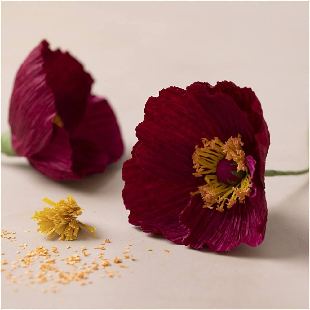 Creativ Company Bastelset Mohn (Krepppapier) – ab 10 Jahren