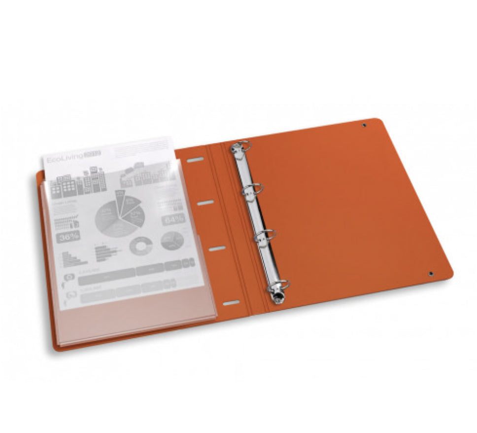 Oxford Ringbuch – 4-D-Ring Ø 25 mm – für A4 – Rückenbreite 3 cm – mehrfarbig – 5 Stk.
