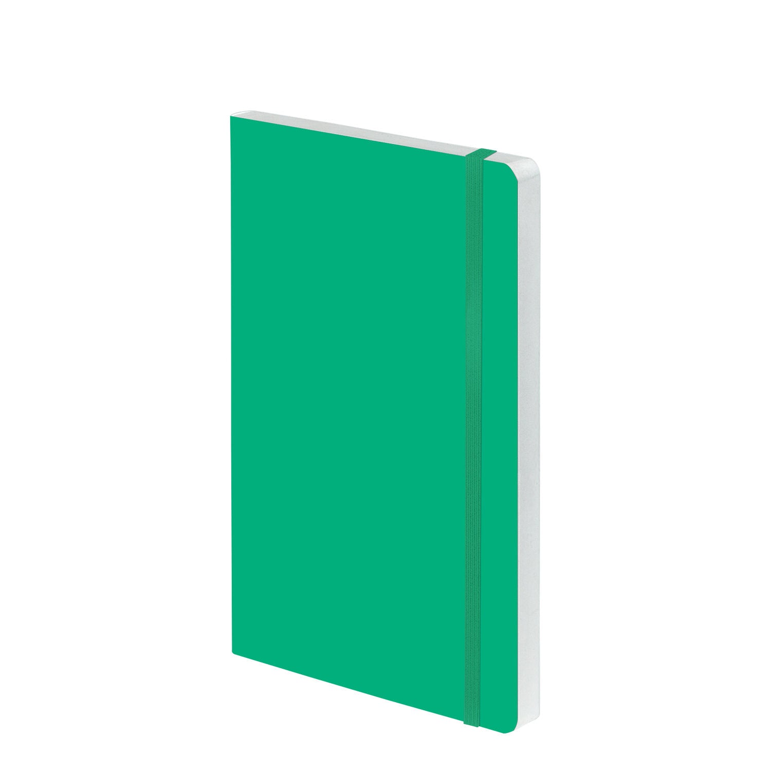 nuuna Notizbuch – A5 – punktiert – 176 Seiten – 120 g/m² – Softcover, Gummiband, nummerierte Seiten, grün