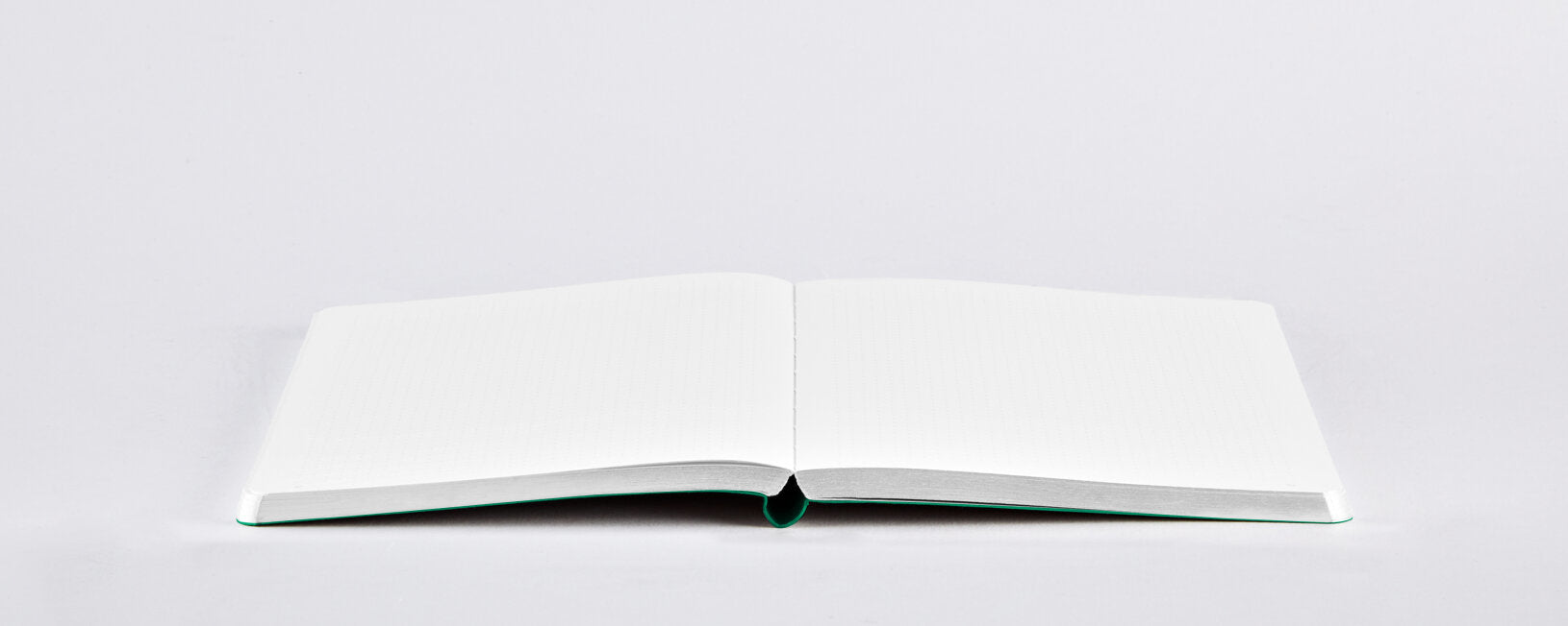 nuuna Notizbuch – A5 – punktiert – 176 Seiten – 120 g/m² – Softcover, Gummiband, nummerierte Seiten, grün