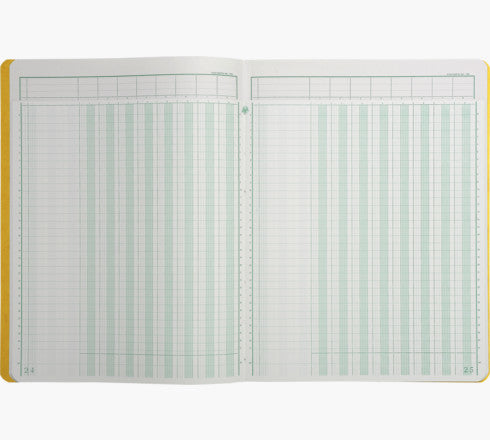 Exacompta Spaltenbuch – 320 × 250 mm – 40 Blatt – 110 g/m² – 31 Zeilen, mit Kopfleiste – 5 Stück