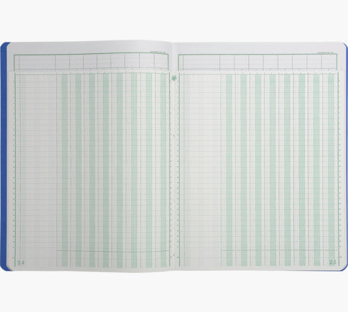 Exacompta Spaltenbuch – 320 × 250 mm – 40 Blatt – 110 g/m² – 31 Zeilen, mit Kopfleiste – 5 Stück