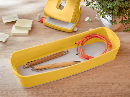 Leitz Aufbewahrungsbox – für DIN lang, gelb, Polystyrol (PS), B 307 × H 105 × T 55 mm