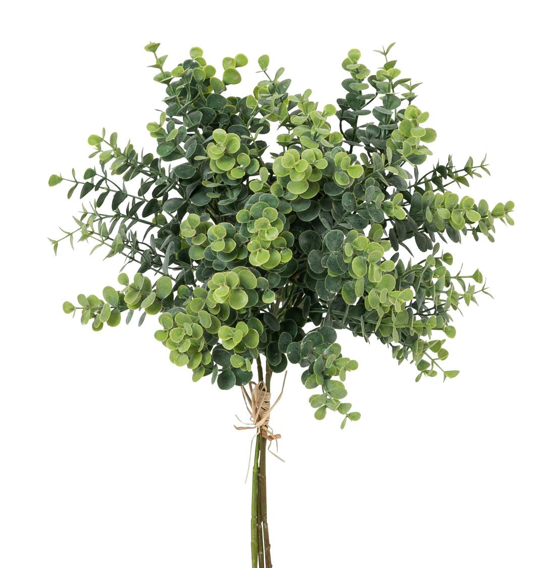 Botanic-Haus Eukalyptusbund – 40 cm, Ø 20 cm, 3-teilig – Kunststoff, grün