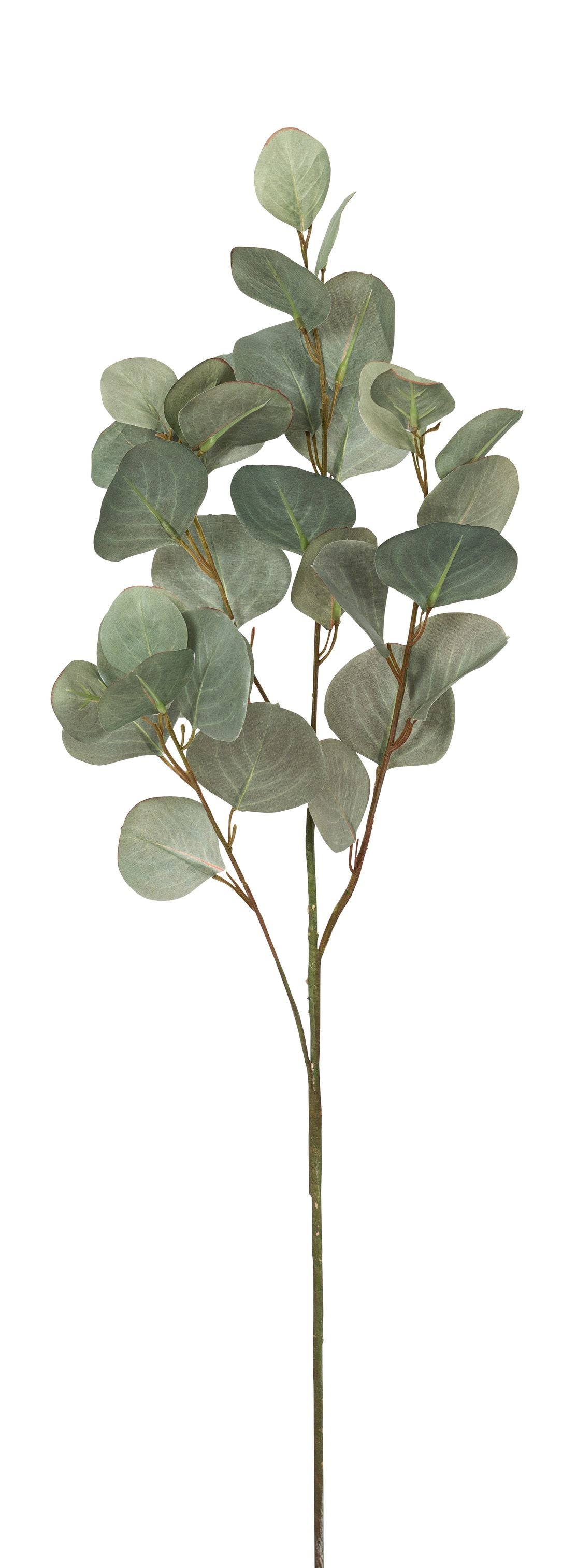Botanic-Haus Eukalyptuszweig – Ø 21 × 87 cm – Kunststoff, Grün