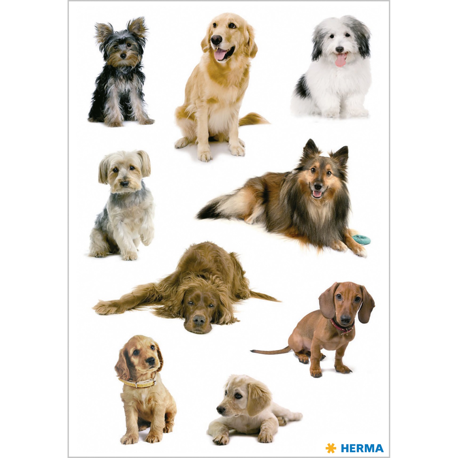 HERMA Schmucketiketten – Hundefotos – 27 Stück – permanent – mehrfarbig