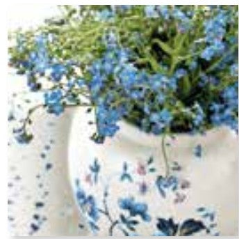 Paper + Design Servietten Forget me not – 33 × 33 cm, 3-lagig – 20 Stück