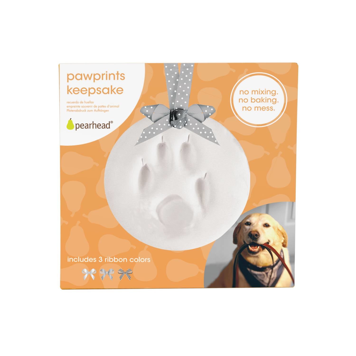 Pearhead Pfotenabdruck Ornament – 13,03 × 13,03 × 12,7 cm – Kunststoff, grau