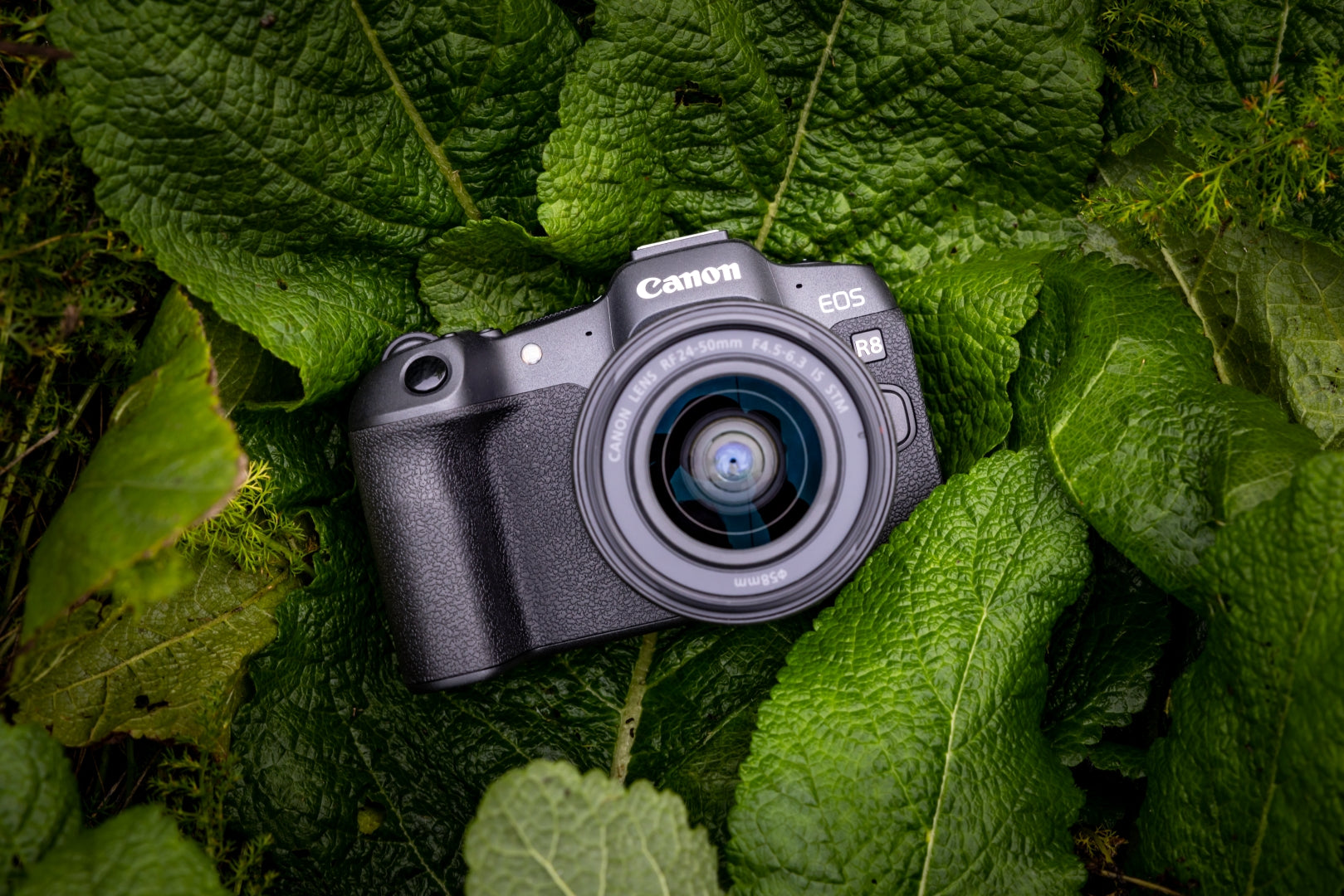 Canon EOS R8 – Systemkamera Kit RF 24–50mm