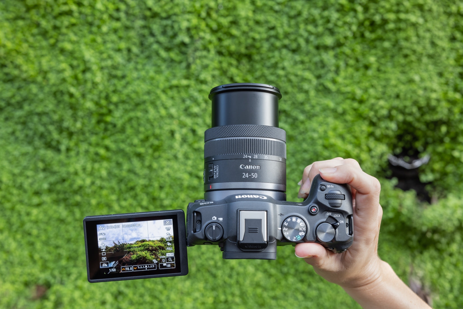 Canon EOS R8 – Systemkamera Kit RF 24–50mm