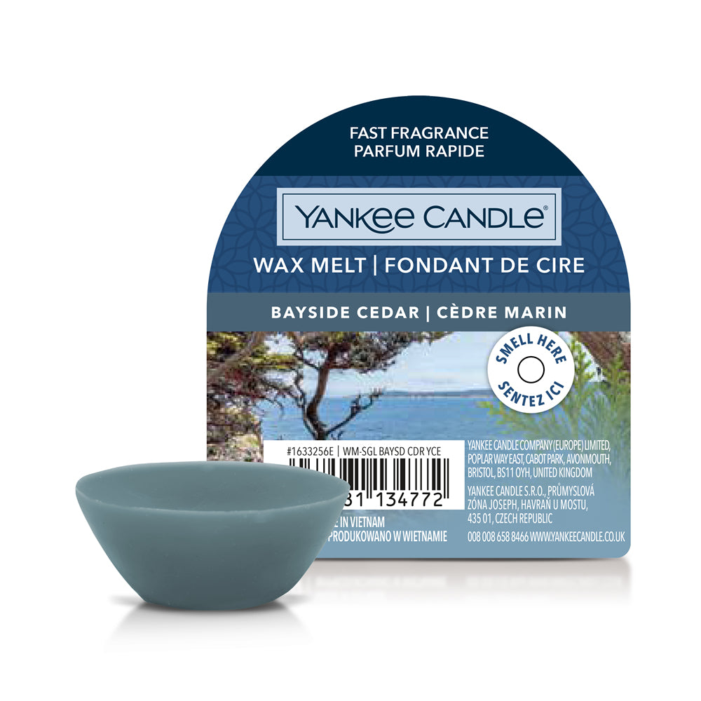 Yankee Candle Bayside Cedar – Duftwachsplättchen, rund, blau, 1 Stück
