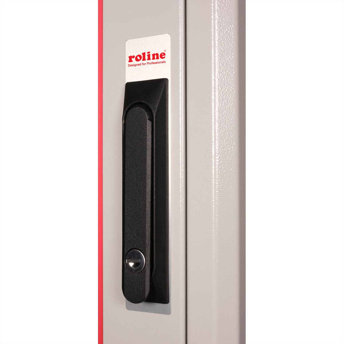 ROLINE Basic – 19" Netzwerkschrank 42U, IP20, abschliessbar, 800 × 800 × 2010 mm, lichtgrau, Stahl