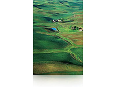 Epson Fotopapierrolle – seidenglänzend, 1'524 mm × 30,5 m, 250 g/m², für Epson Stylus Pro 11880