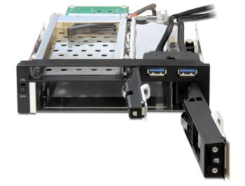 DeLOCK 47209 – 2-Bay Einbausatz für 2,5"/3,5" HDD, SATA
