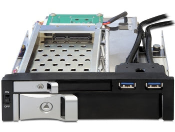 DeLOCK 47209 – 2-Bay Einbausatz für 2,5"/3,5" HDD, SATA