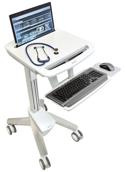 Ergotron SV41 Notebook-Schutzhülle