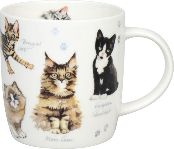 Könitz Porzellan Könitz Becher Natures Diversity-Katzen – 400 ml, Ø 8,7 cm, H 9,2 cm, Knochenporzellan, Mehrfarbig