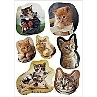 HERMA Schmucketiketten – Motiv Fotogene Kätzchen – Papier, Hochglänzend, 21 Stk, 3 Bogen