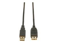 Tripp Lite USB-A Verlängerungskabel (Stecker auf Buchse) – USB 2.0 (480 Mbit/s) – 3,05 m – Schwarz