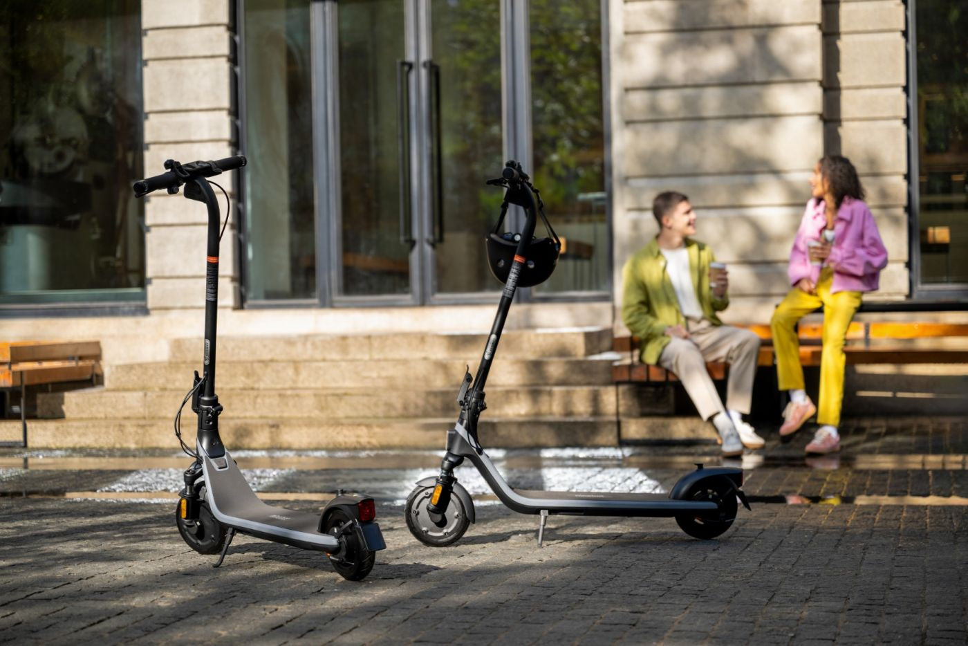 Ninebot by Segway E2 D II – E-Scooter, 25 km Reichweite, 20 km/h, 250 W, 220 Wh Akku, Faltbar, 16,2 kg, Grau