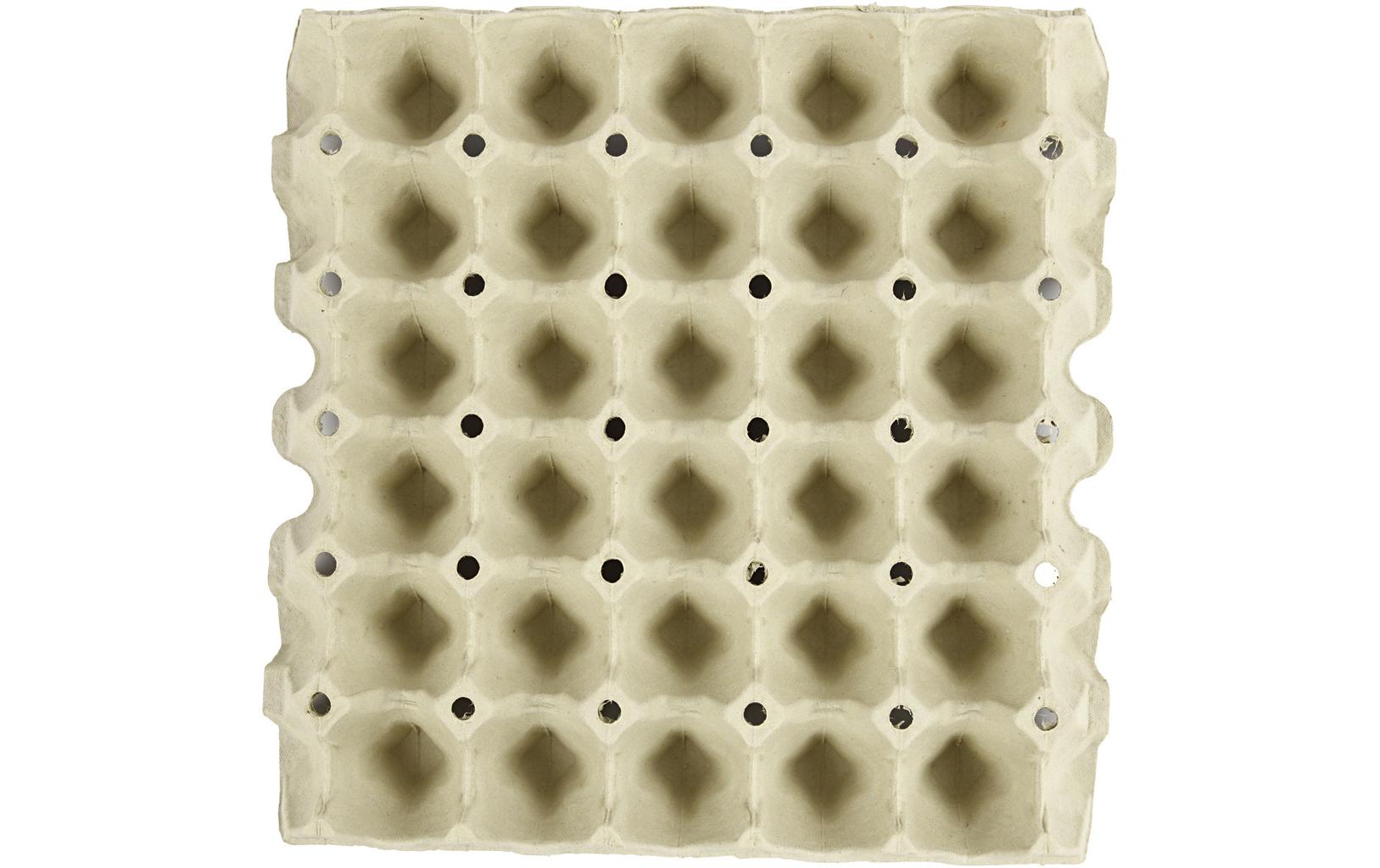 Creativ Company Eierkarton – für 30 Eier, 290 × 290 × 40 mm, Grau – 20 Stk.