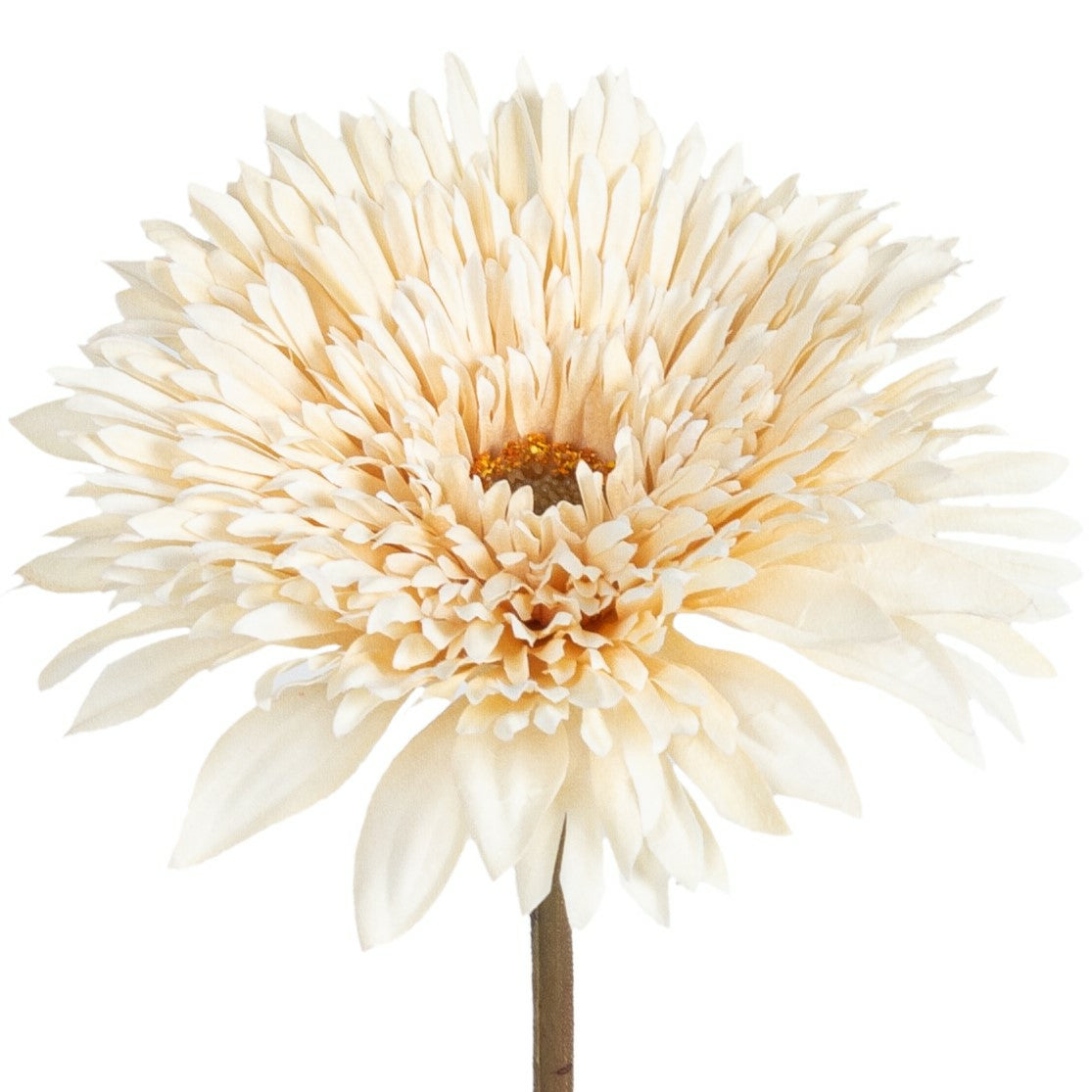 Botanic-Haus Gerbera – 63 cm – Stoff & Kunststoff, Elfenbein, 12-teilig