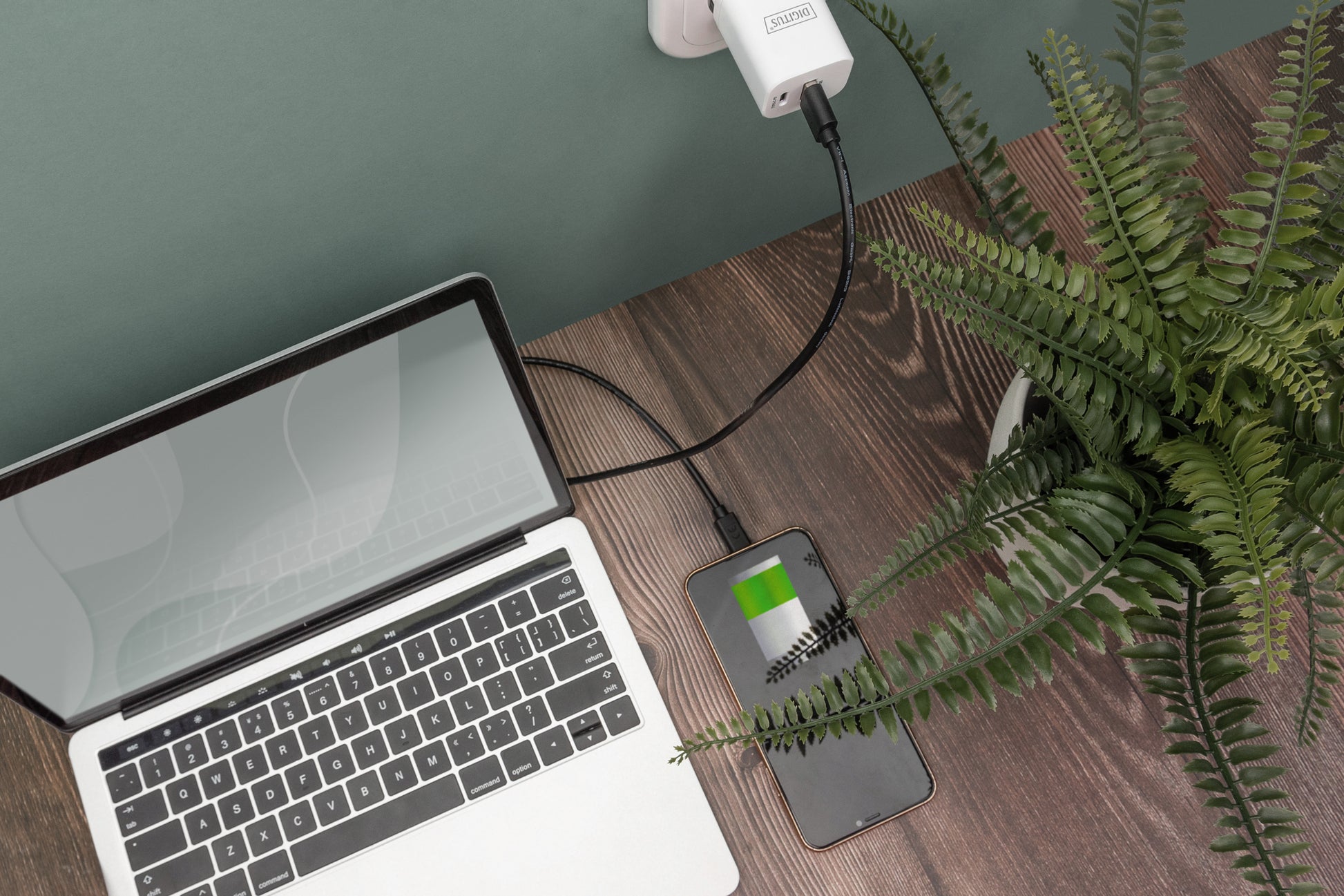 Digitus USB-Kabel, USB-A zu USB-C, 3 m, USB 2.0