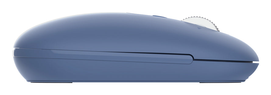 Trust Seron Slim Multi – Maus – Kabellos (Bluetooth/2,4 GHz), 3200 DPI, beidhändig, Blau
