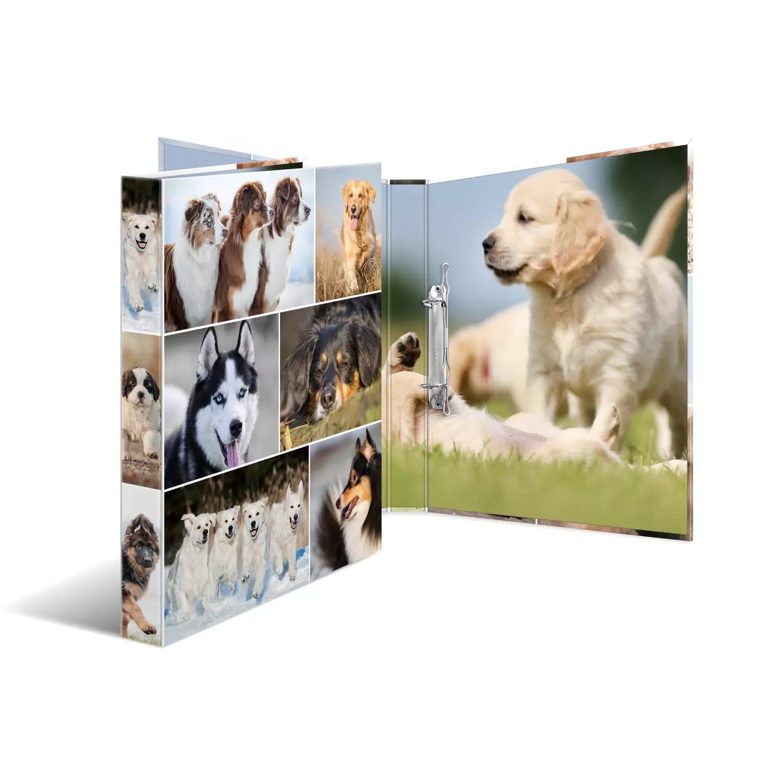 HERMA Zeigebuch Animals – A4 Hochformat – 2-Ring Bügelmechanik, Rücken 35 mm – Mehrfarbig, Karton, mit Niederhalte