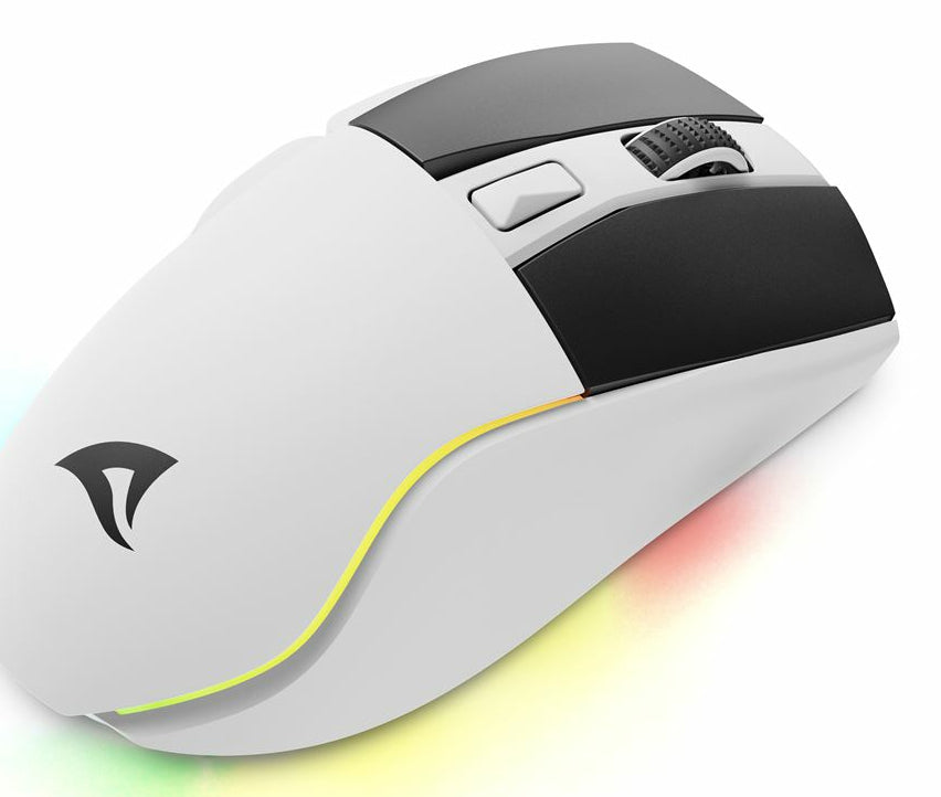 R-Go Tools Sharkoon SKILLER SGM50W – Gaming-Maus – Kabellos (2,4 GHz), 6400 DPI, RGB-Beleuchtung, Rechtshänder, Weiss